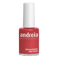 Nagų lakas Andreia Nº 24, 14 ml