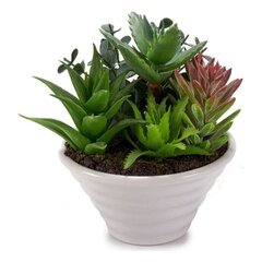Dirbtinis augalas vazonėlyje, 14 cm kaina ir informacija | Dirbtinės gėlės | pigu.lt