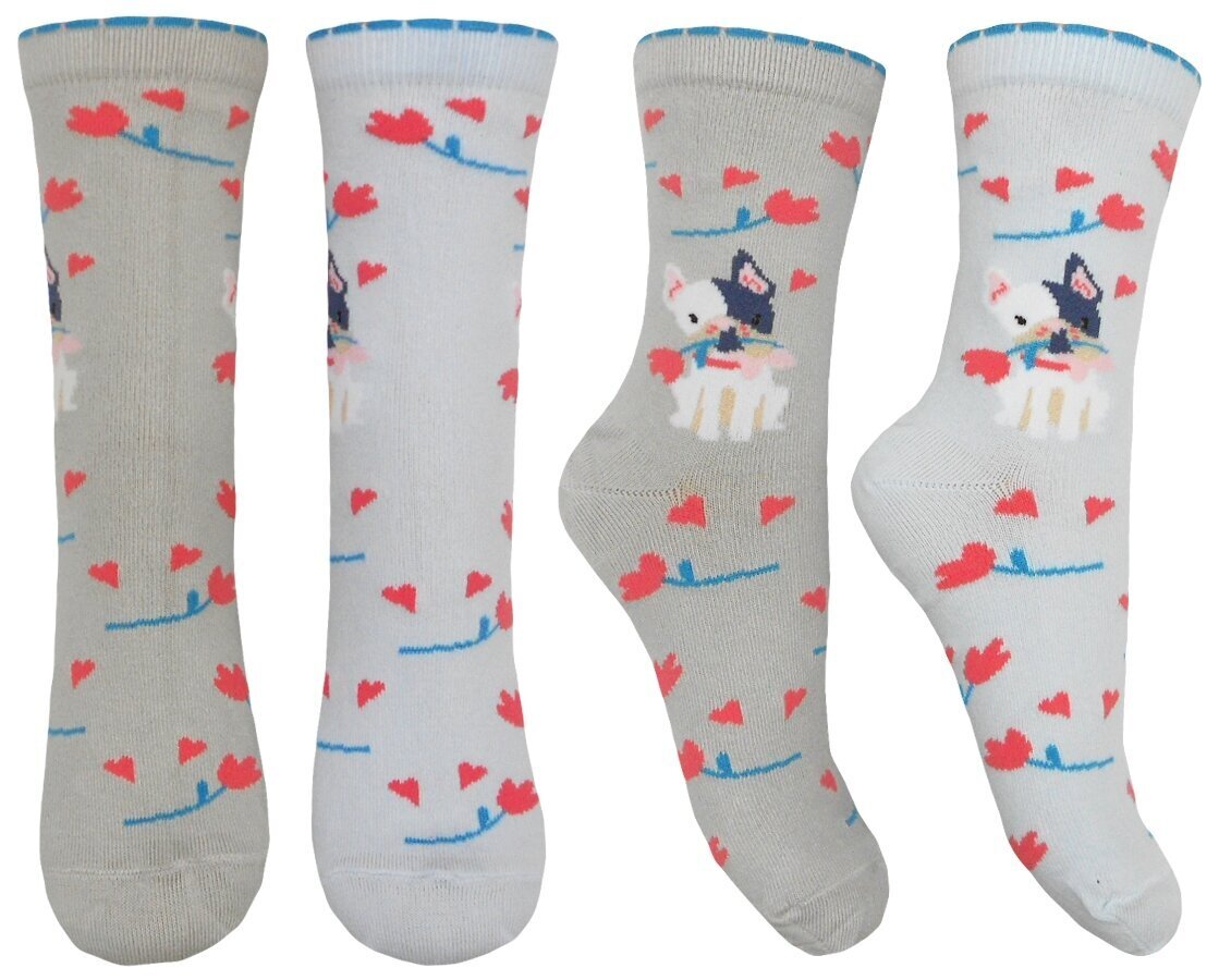 Vyriškos kojinės Krebo, įvairių spalvų kaina ir informacija | Vyriškos kojinės | pigu.lt