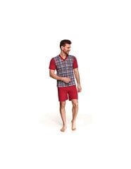 Мужская пижама TARO 001 ROMAN SS21 цена и информация | Мужские халаты, пижамы | pigu.lt