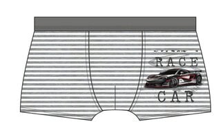 ШОРТЫ КОРНЕТ KD-701/106 цена и информация | Нижнее белье для мальчиков | pigu.lt