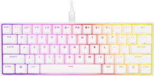 Corsair K65 RGB Mini Cherry MX Red US цена и информация | Клавиатуры | pigu.lt