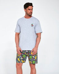 Пижама мужская Cornette Mexico BFN-M-64089 цена и информация | Мужские халаты, пижамы | pigu.lt
