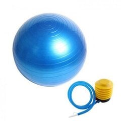 Gimnastikos kamuolys + pompa kaina ir informacija | Gimnastikos kamuoliai | pigu.lt