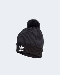 Шапка для женщин Adidas BFN-G-333366 цена и информация | Женские шапки | pigu.lt