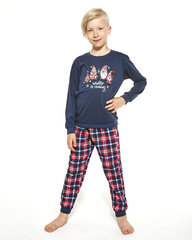 Пижама для мальчиков с длинными штанами Cornette 593_966/122 "Gnomes" цена и информация | Пижамы, халаты для мальчиков | pigu.lt