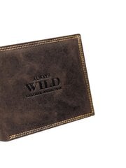 Vyriška odinė piniginė, ruda kaina ir informacija | Vyriškos piniginės, kortelių dėklai | pigu.lt