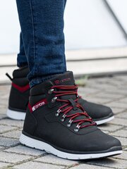 Ботинки зимние трапперы T312 - черные цена и информация | Мужские кроссовки | pigu.lt