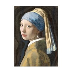 Паззл Grafix Art Girl With a Pearl Earring/Девушка с жемчужной сережкой, 1000 d. цена и информация | Пазлы | pigu.lt