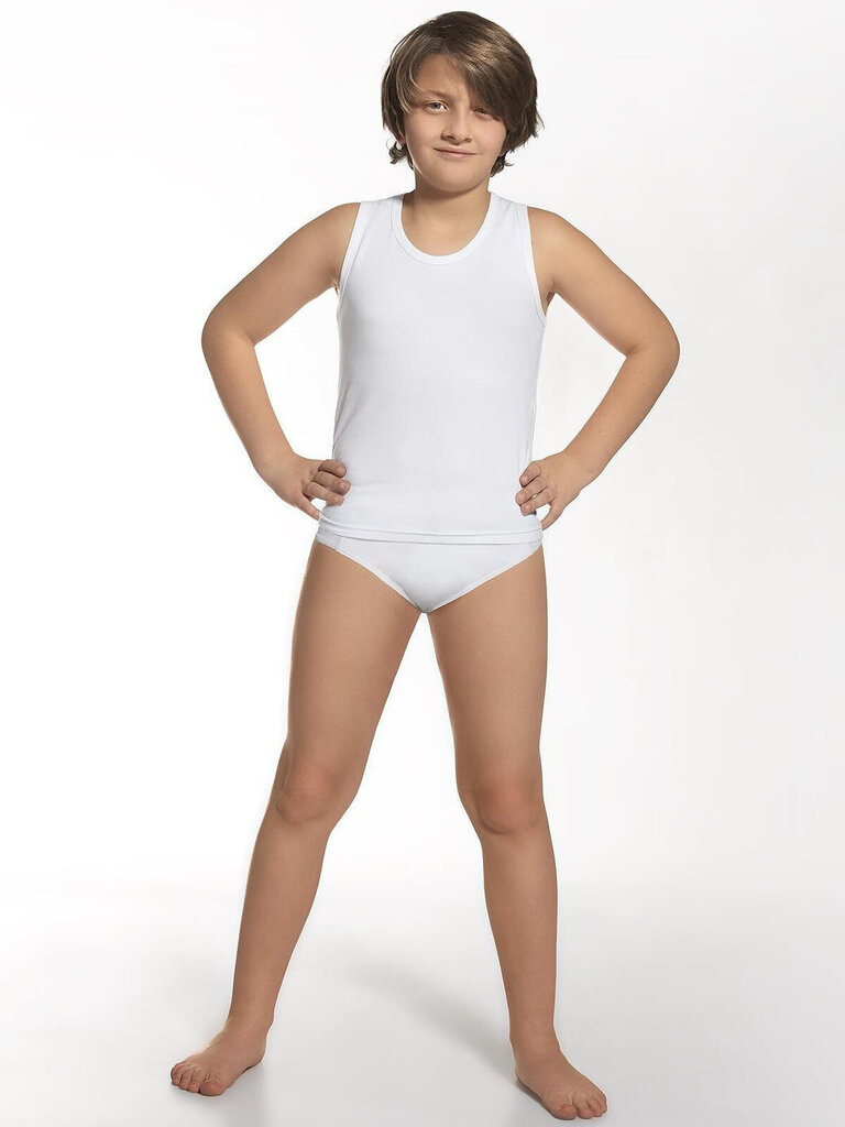 Apatiniai marškinėliai ir trumpikės berniukams BFNM33244 цена и информация | Apatiniai drabužiai berniukams | pigu.lt