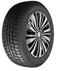 Dynamo SNOW-H MWH03 225/65R16 100 T studdable kaina ir informacija | Dynamo Padangos | pigu.lt