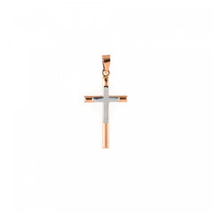 Лютеранский золотой крест ZK9121 цена и информация | Женское колье | pigu.lt
