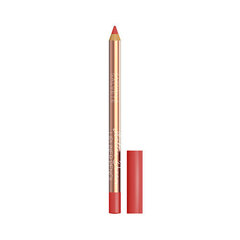 Lūpų pieštukas Gabriella Salvete Italian Dream LipContour 0,25 g 04 цена и информация | Помады, бальзамы, блеск для губ | pigu.lt