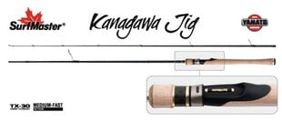 Спиннинг SURF MASTER «Yamato KANAGAWA Jig TX-30» YS5008 2X цена и информация | Удочки, подставки и держатели | pigu.lt