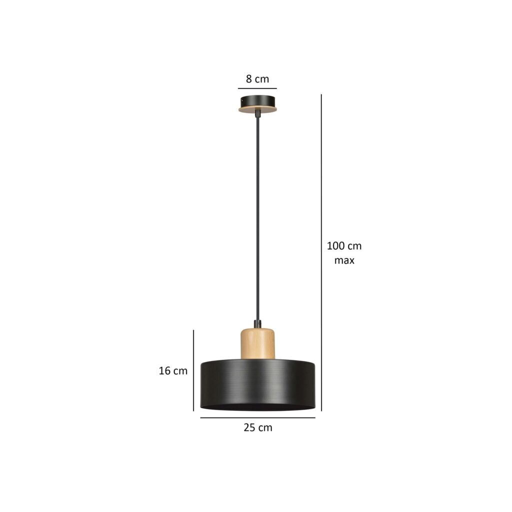Emibig pakabinamas šviestuvas Torin 1 Black kaina ir informacija | Pakabinami šviestuvai | pigu.lt