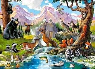 Dėlionė Castorland Miško gyvūnai, 70 detalių kaina ir informacija | Dėlionės (puzzle) | pigu.lt