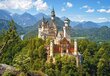 Dėlionė Castorland Neuschwanstein Castle, Germany 500 det kaina ir informacija | Dėlionės (puzzle) | pigu.lt