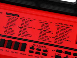 Vaikiškas sintezatorius su mikrofonu BF-950A, raudonas kaina ir informacija | Lavinamieji žaislai | pigu.lt