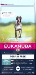 Eukanuba Grain Free Large suaugusiems šunims su žuvimi, 3 kg kaina ir informacija | Sausas maistas šunims | pigu.lt