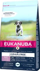 Eukanuba Grain Free для щенков крупных пород, 3 кг цена и информация |  Сухой корм для собак | pigu.lt