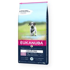 Eukanuba Grain Free Large Puppy didelių veislių šuniukams su žuvimi, 12 kg kaina ir informacija | Sausas maistas šunims | pigu.lt