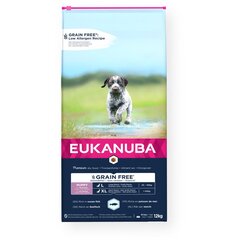 Eukanuba Grain Free Large Puppy didelių veislių šuniukams su žuvimi, 12 kg kaina ir informacija | Sausas maistas šunims | pigu.lt