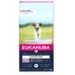 Eukanuba Grain Free Puppy mažų/vidutinių veislių šuniukams su žuvimi, 12 kg kaina ir informacija | Sausas maistas šunims | pigu.lt