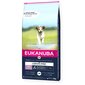 Eukanuba Grain Free Puppy mažų/vidutinių veislių šuniukams su žuvimi, 12 kg kaina ir informacija | Sausas maistas šunims | pigu.lt