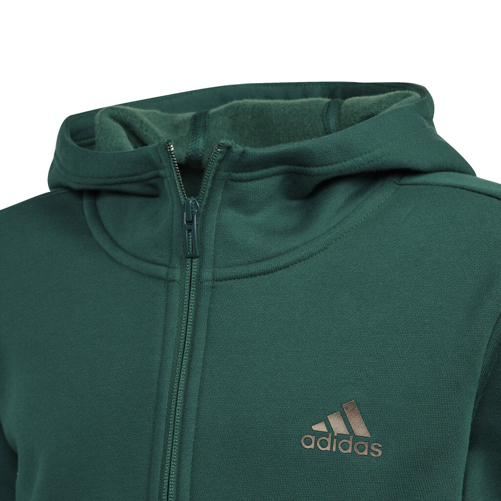 Sportinis kostiumas berniukams Adidas B Winter Ts Grey Green GT6968, žalias kaina ir informacija | Komplektai berniukams | pigu.lt