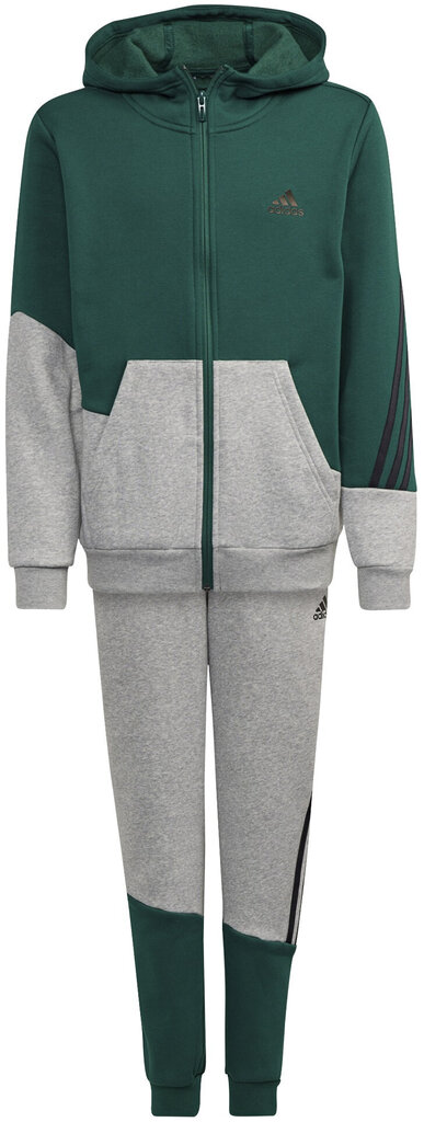 Sportinis kostiumas berniukams Adidas B Winter Ts Grey Green GT6968, žalias kaina ir informacija | Komplektai berniukams | pigu.lt