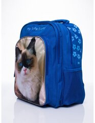 Синий рюкзак для девочки с принтом сказочного котенка цена и информация | Школьные рюкзаки, спортивные сумки | pigu.lt