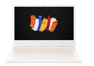 Портативный компьютер Notebook ConceptD 3 Pro CN314-72P-7338 WIN10PRO/ i7-10750H/ 16GB/ 1T/ QT1000/ 14  цена и информация | Ноутбуки | pigu.lt