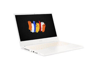 Портативный компьютер Notebook ConceptD 3 Pro CN314-72P-7338 WIN10PRO/ i7-10750H/ 16GB/ 1T/ QT1000/ 14 цена и информация | Ноутбуки | pigu.lt