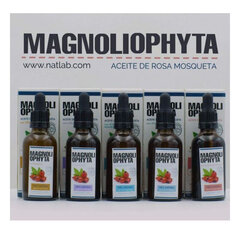 Масло для лица Magnoliophytha (50 мл) цена и информация | Сыворотки для лица, масла | pigu.lt