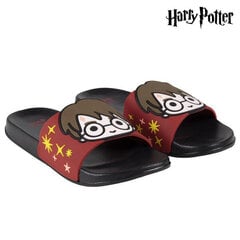 Шлепанцы для детей Harry Potter цена и информация | Детские тапочки, домашняя обувь | pigu.lt