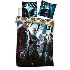 Детский комплект постельного белья Harry Potter 135x200см, 2 части цена и информация | Детское постельное бельё | pigu.lt