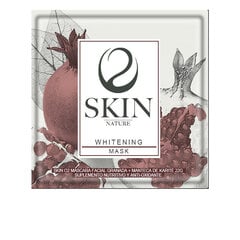 Veido kaukė Skin O2 Pomegranate, 1 vnt. kaina ir informacija | Veido kaukės, paakių kaukės | pigu.lt