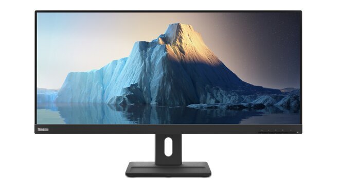 Lenovo ThinkVision E29w-20 kaina ir informacija | Monitoriai | pigu.lt