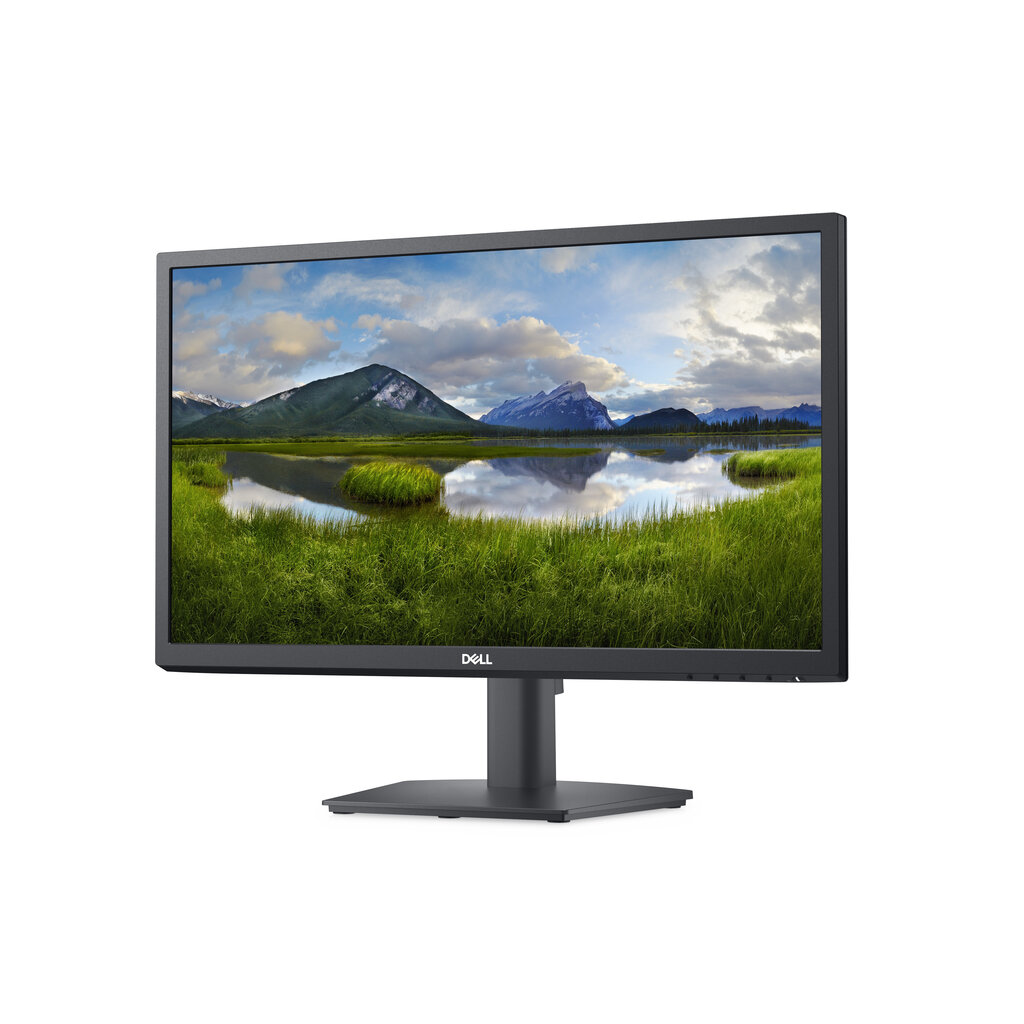 Dell 210-AZZF kaina ir informacija | Monitoriai | pigu.lt