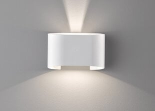 Настенный светильник Fischer & Honsel Wall цена и информация | Настенные светильники | pigu.lt