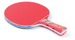 Stalo teniso raketė Atemi 900 kaina ir informacija | Stalo teniso raketės, dėklai ir rinkiniai | pigu.lt