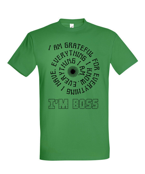 Vyriški marškinėliai The boss, žali kaina ir informacija | Vyriški marškinėliai | pigu.lt