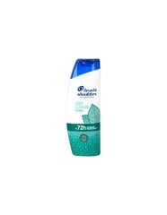 Šampūnas nuo pleiskanų Head & Shoulders Deep Cleanse Itch Relief, 300ml цена и информация | Шампуни | pigu.lt