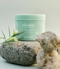 Двусторонние отшелушивающие влажные подушечки Pore Fresh (Peeling Toner Pad), 60 шт. цена и информация | Средства для очищения лица | pigu.lt