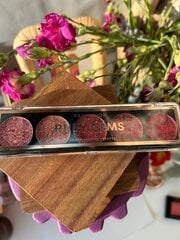 Akių šešėlių paletė Profusion Cosmetics Ruby Gems, 21 g цена и информация | Тушь, средства для роста ресниц, тени для век, карандаши для глаз | pigu.lt