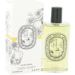 Туалетная вода Diptyque Eau De Neroli EDT для женщин, 100 мл цена и информация | Женские духи | pigu.lt