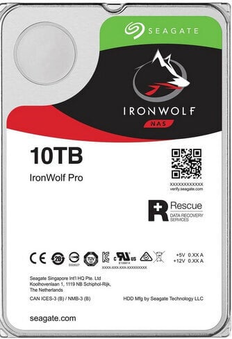 Seagate IronWolf Pro ST10000NE000, 10 TB - SATA 6Gb/s kaina ir informacija | Vidiniai kietieji diskai (HDD, SSD, Hybrid) | pigu.lt