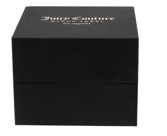 Laikrodis Juicy Couture JC/1138PVGB kaina ir informacija | Moteriški laikrodžiai | pigu.lt