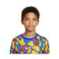 Marškinėliai berniukams Nike Dri-Fit GX DM4409-719 kaina ir informacija | Marškinėliai berniukams | pigu.lt