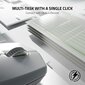 Razer Pro Click Mini, balta цена и информация | Pelės | pigu.lt